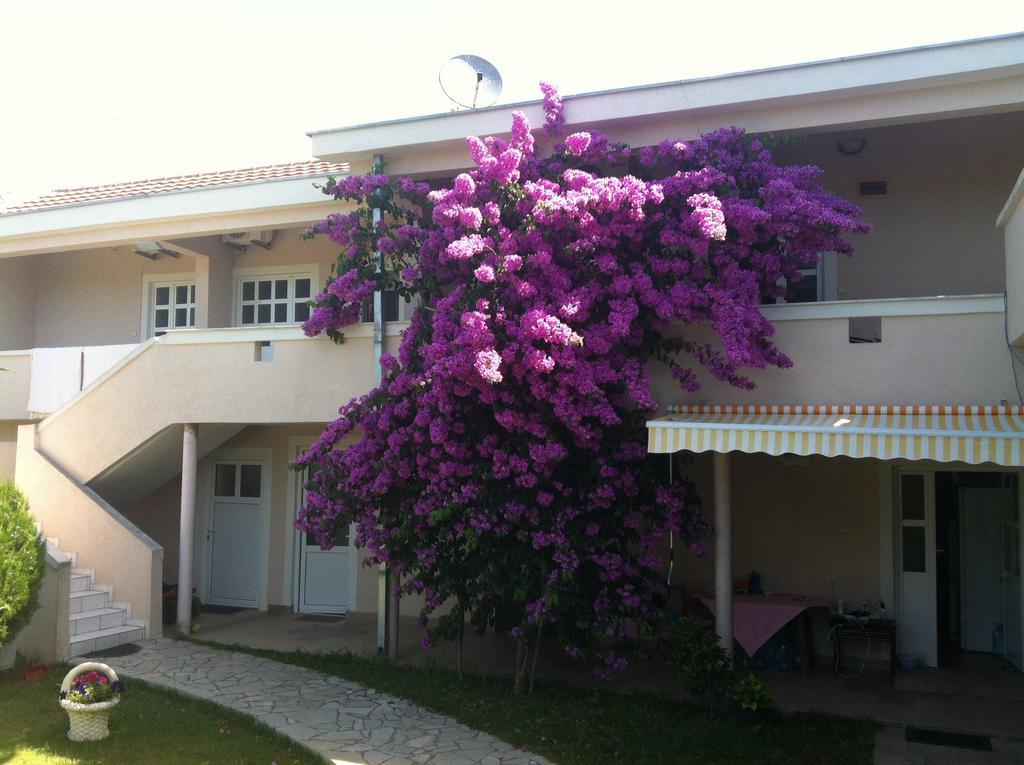 Apartments Ada Bojana Улцинь Номер фото